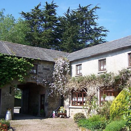 Ballinacourty House B&B Tipperary Ngoại thất bức ảnh