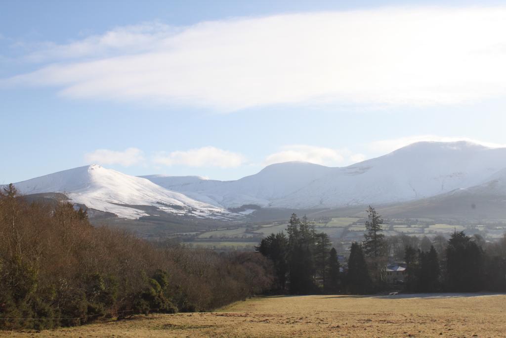 Ballinacourty House B&B Tipperary Ngoại thất bức ảnh