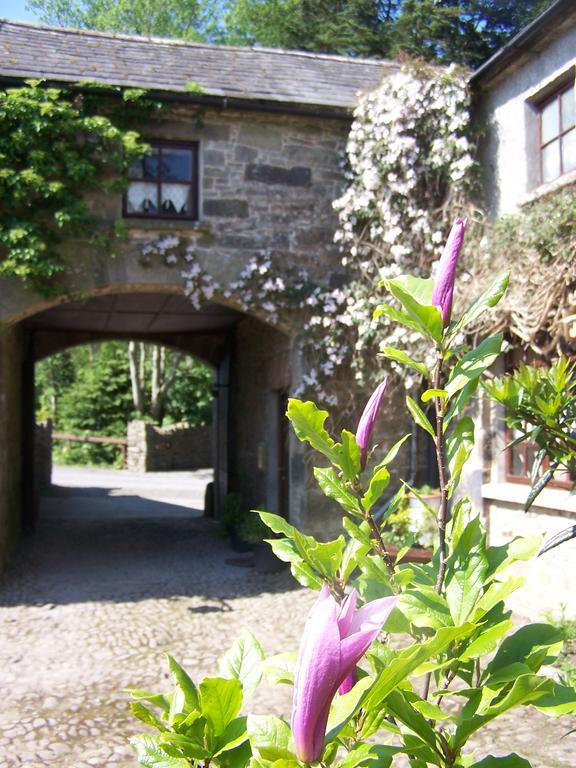 Ballinacourty House B&B Tipperary Ngoại thất bức ảnh