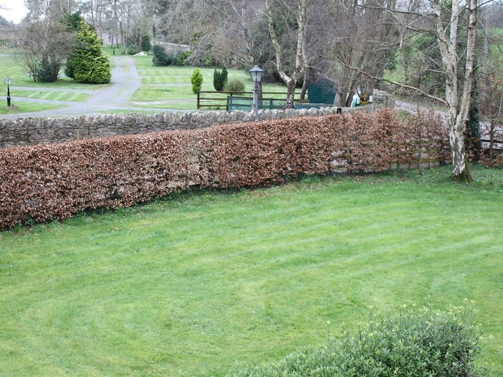 Ballinacourty House B&B Tipperary Ngoại thất bức ảnh