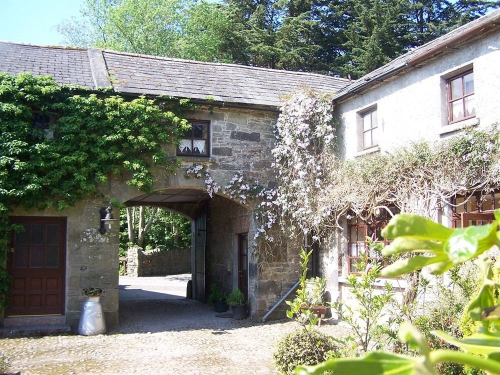 Ballinacourty House B&B Tipperary Ngoại thất bức ảnh