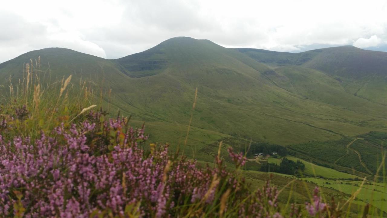 Ballinacourty House B&B Tipperary Ngoại thất bức ảnh